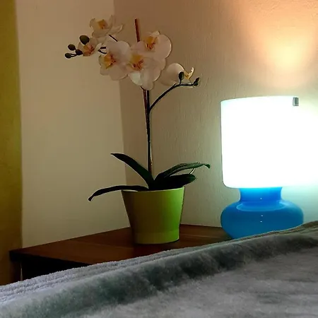 Rent Near Sea In The Center Apartment *
