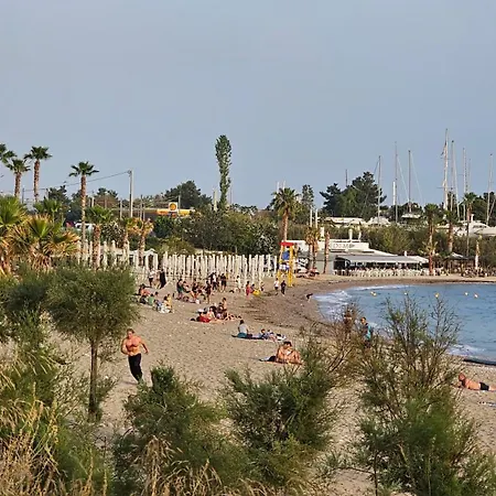 Rent Near Sea In The Center Athens