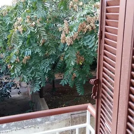 Apartment Rent Near Sea In The Center Athens